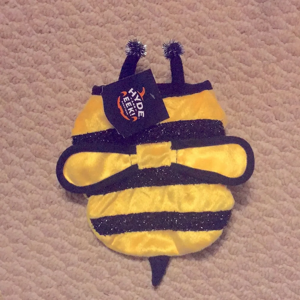 Small pet bumblebee costume